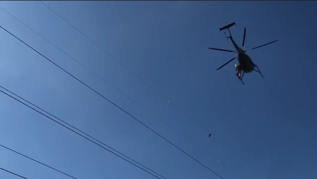 Dominion Energy crews rescue a seagull stuck on a transmission line.